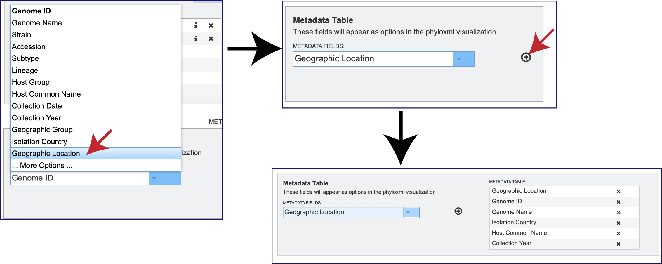 Figure Adding_metadata