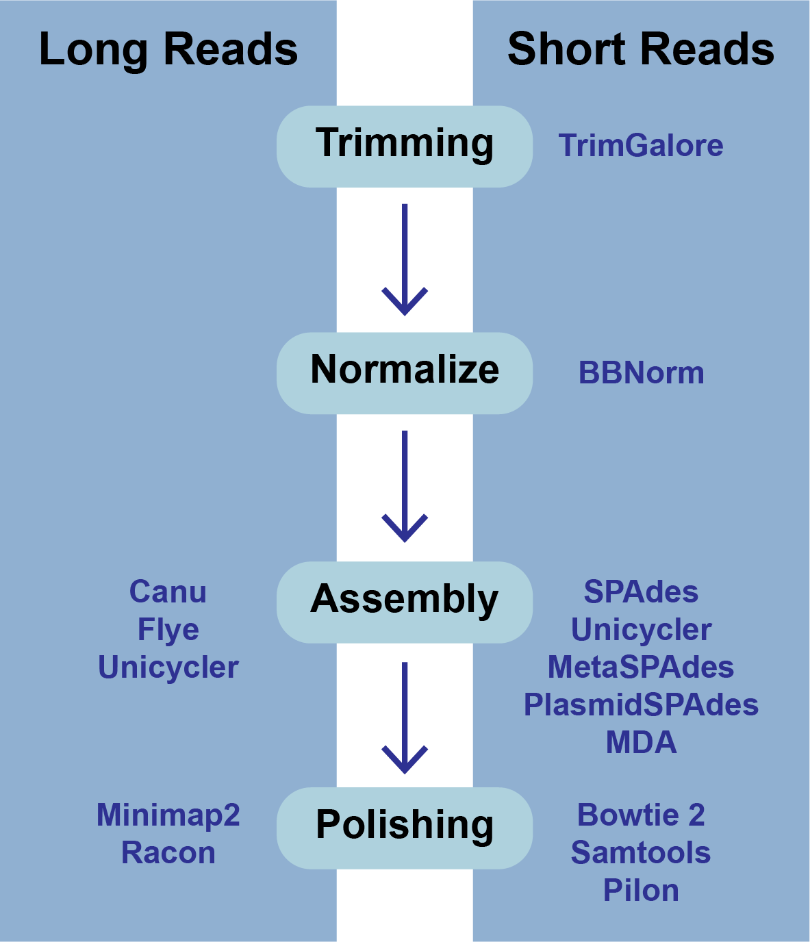 Figure Assembly_pipeline_v4