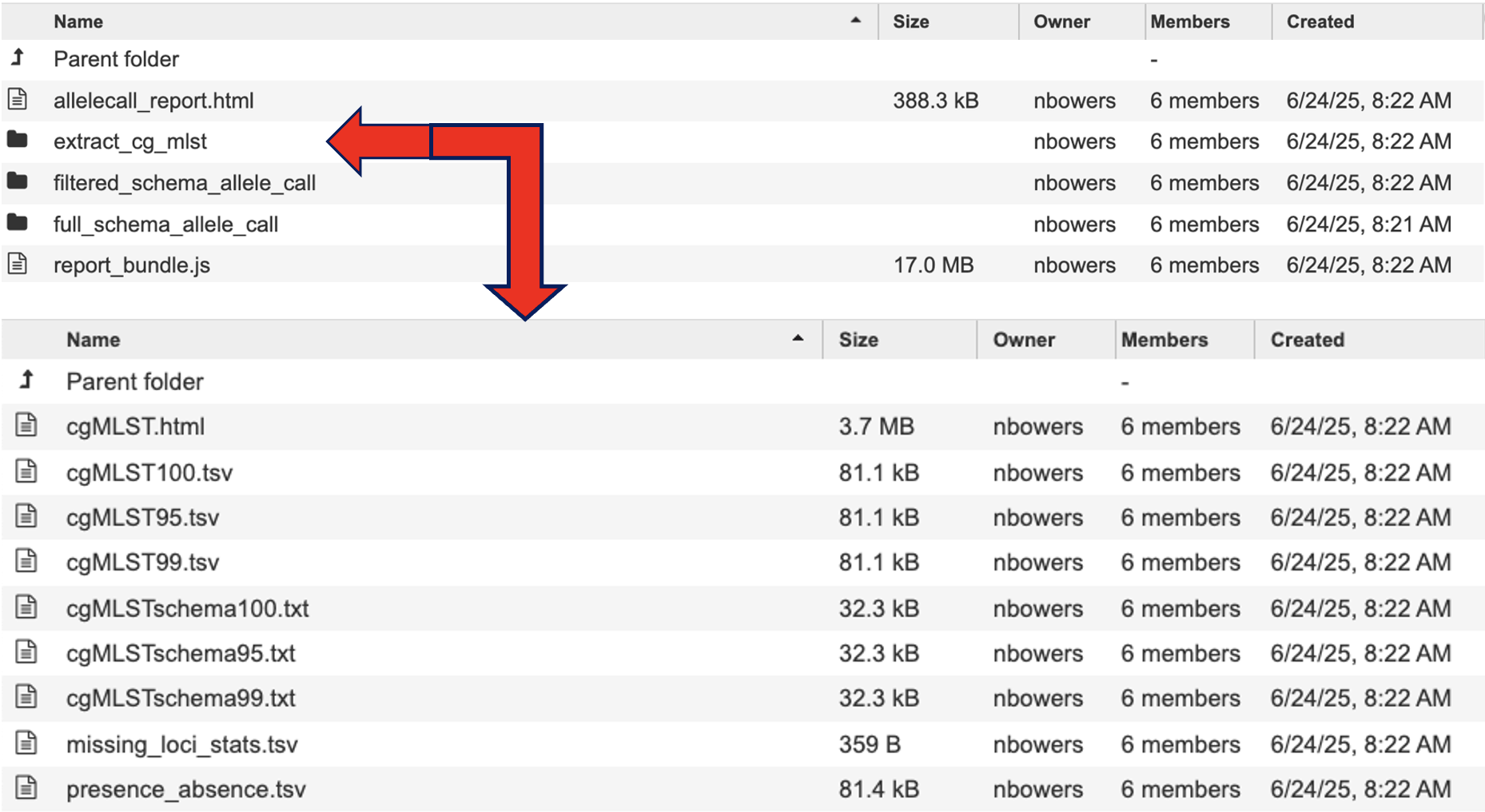 extract_cg_mlst directory and files