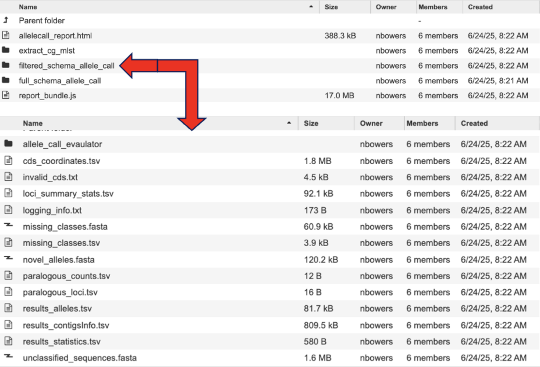 filtered_schema_allele_call directory and files