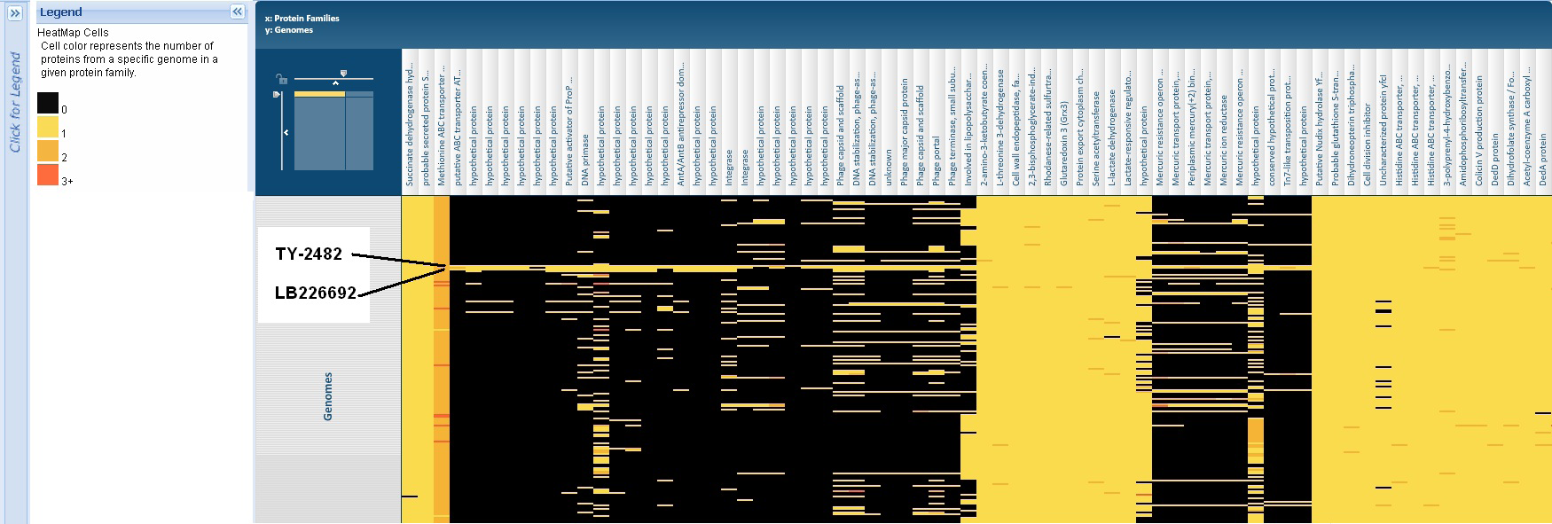 E. coli outbreak New Comprehensive Comparisons BVBRC