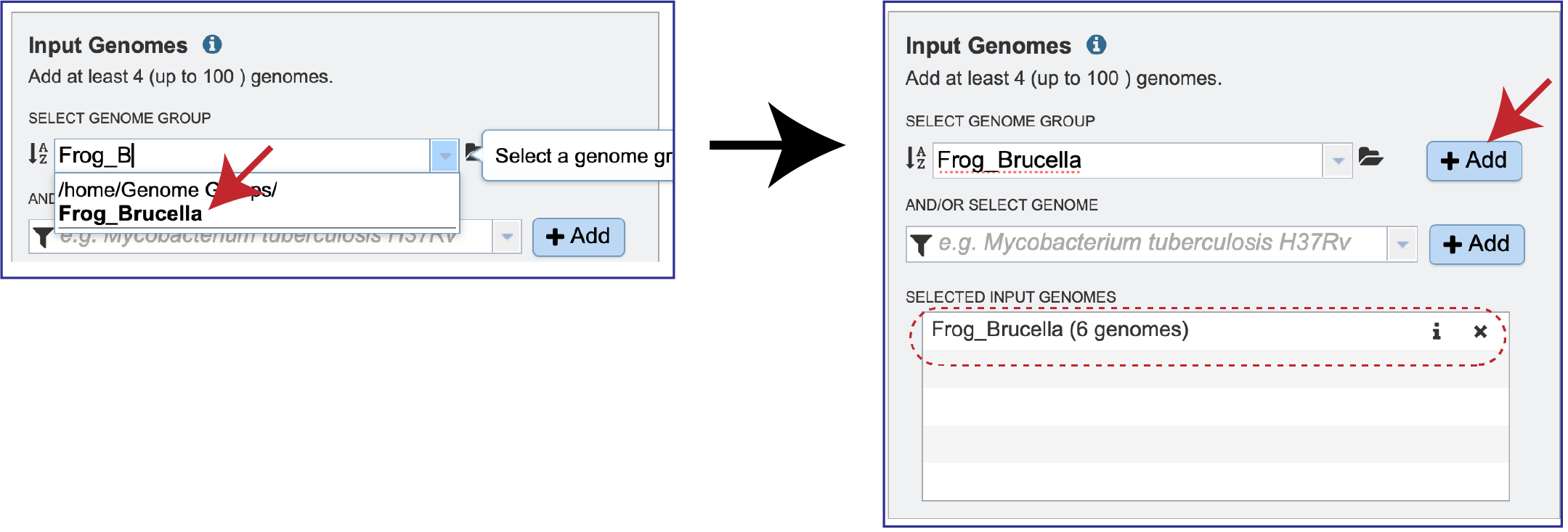 Figure Input_genome_group