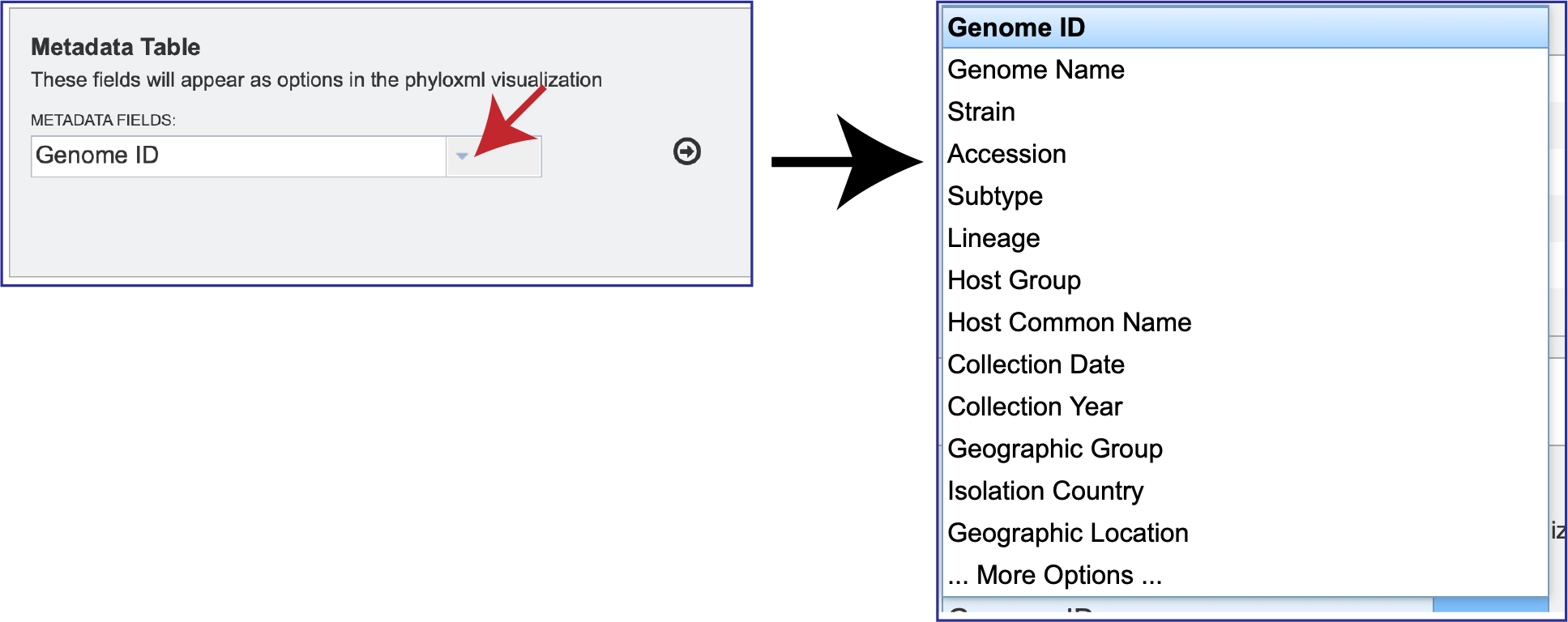 Figure Metadata_fields