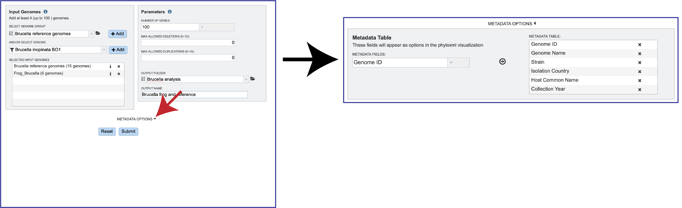 Figure Metadata_open