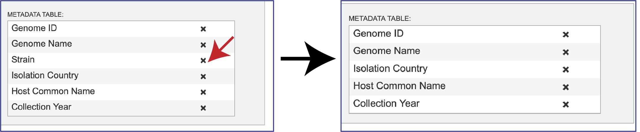 Figure Remove_metadata