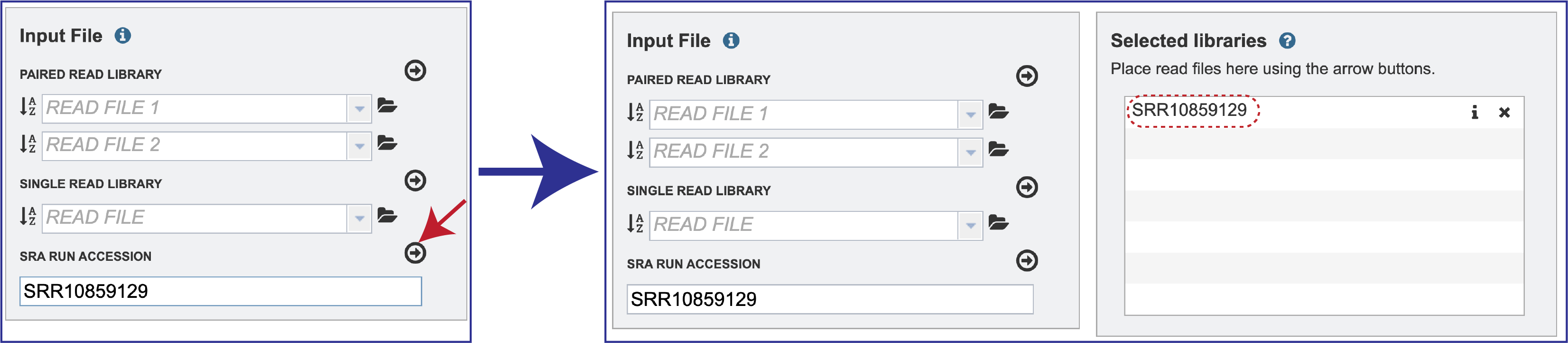 Figure SRR_selected_libraries