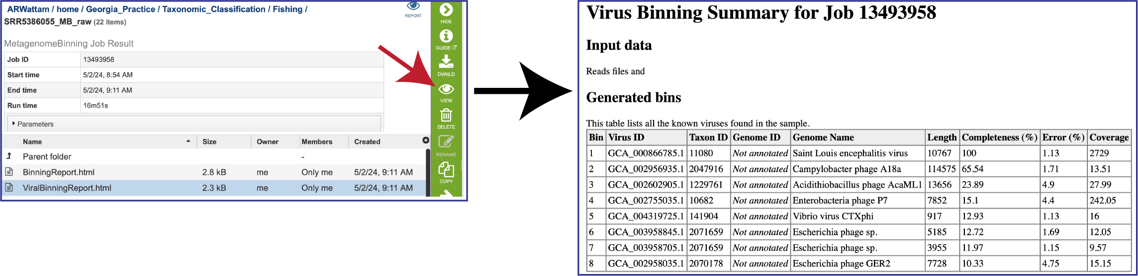 Figure Viral_Binning