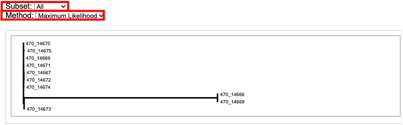 an image of SNP phylogenetic tree options