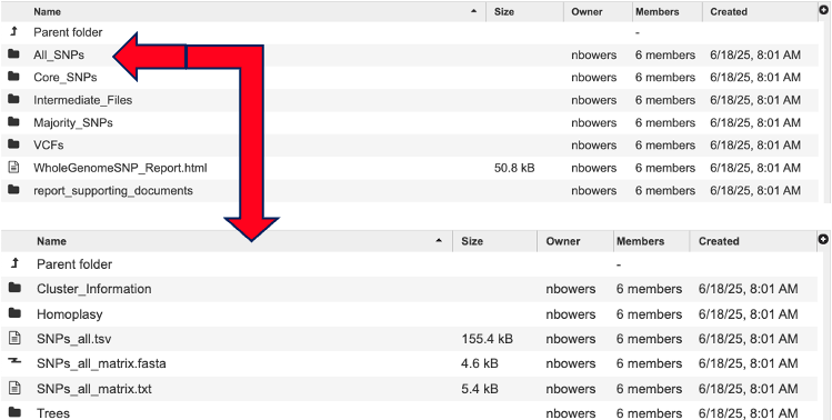 an image of job results and All_SNPs directory