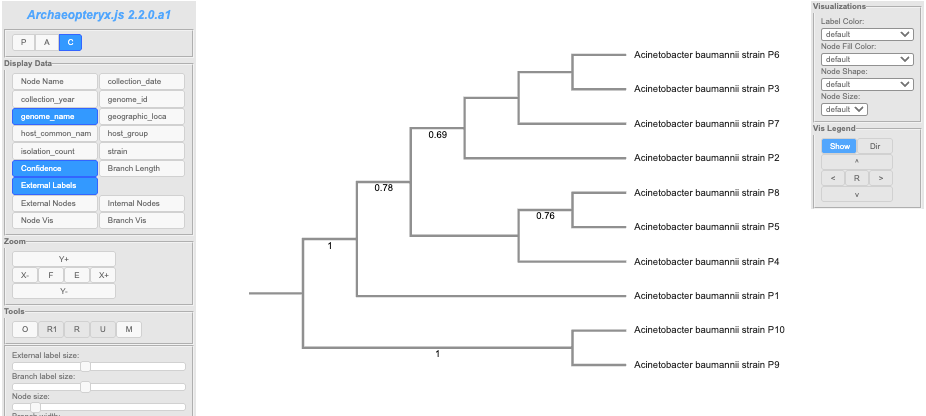 an image of phylogenetic tree viewer
