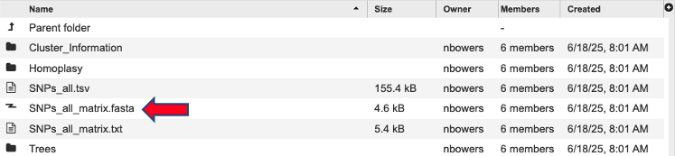 an image of the SNPs_all_matrix.fasta file