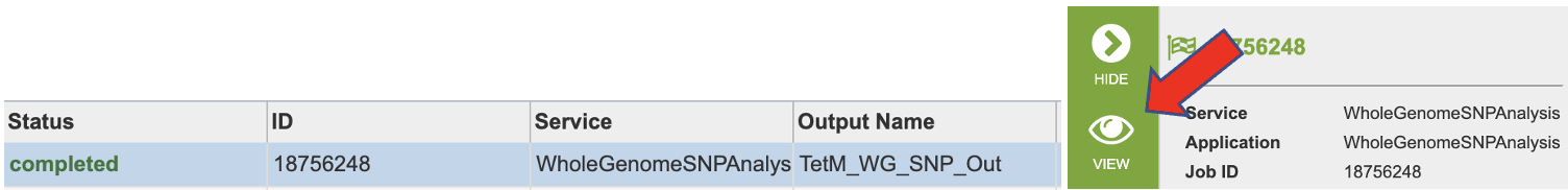 an image of how to view job results