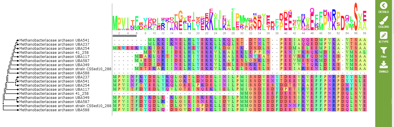 nucleotide sequence alignment tool