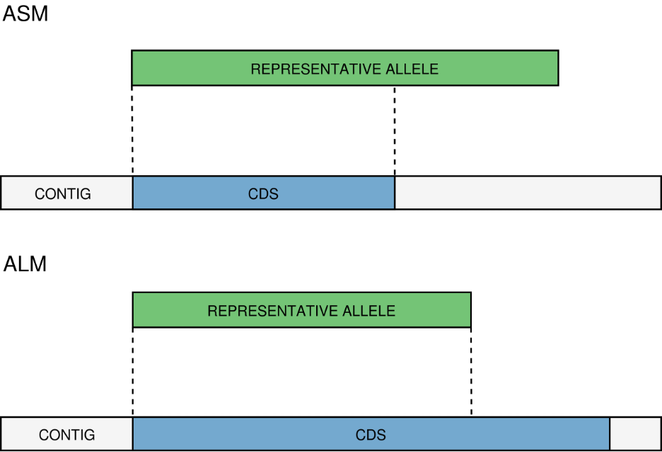 an image of the ASM and ALM match
