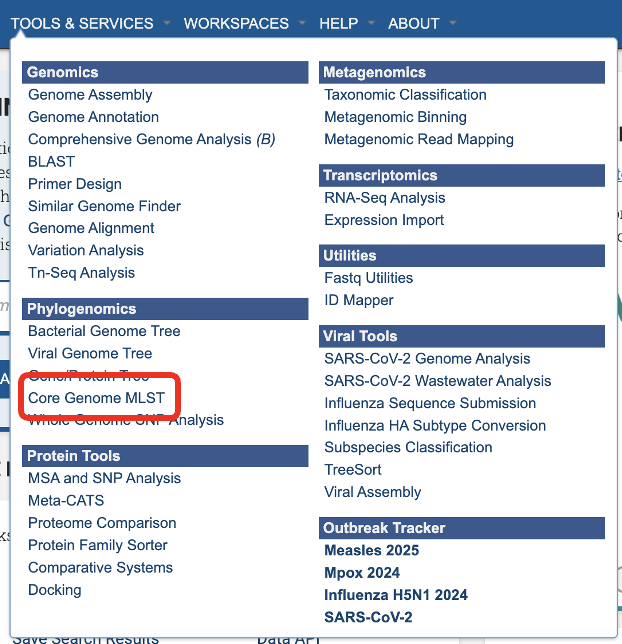 tools and services menu