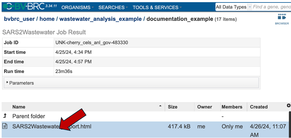 An image selecting the report html file.