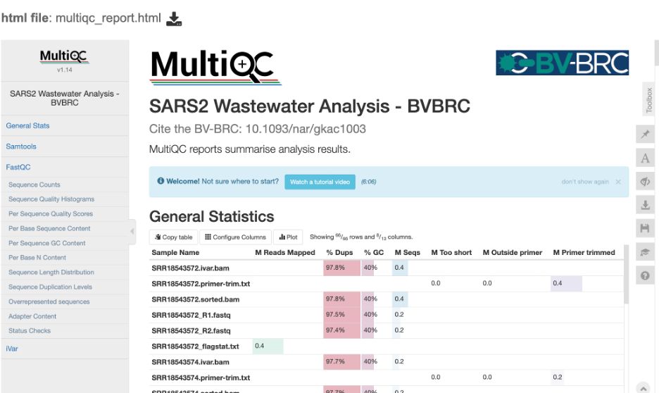 An image of MultiQC report.