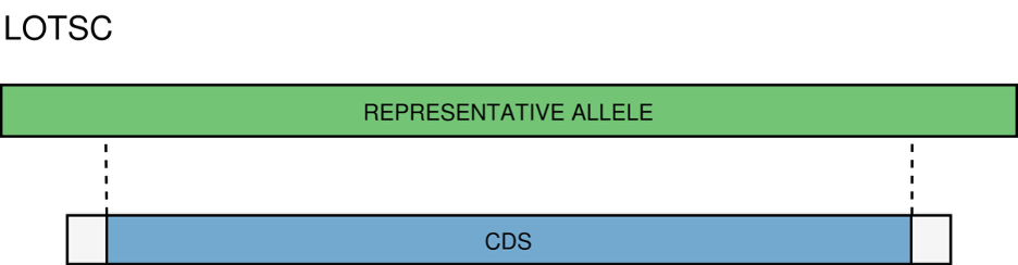 an image of the LOTSC match