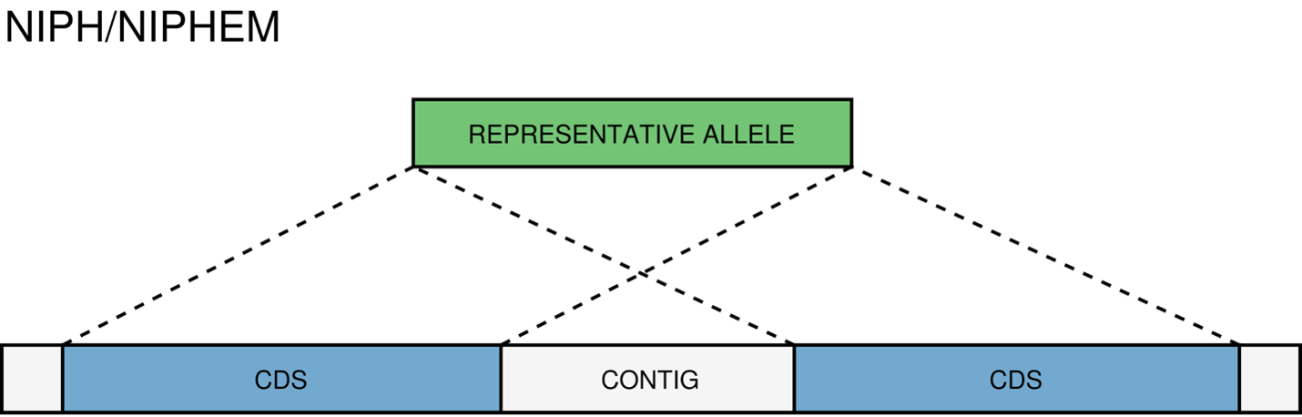 an image of the NIPH and NIPHEM match