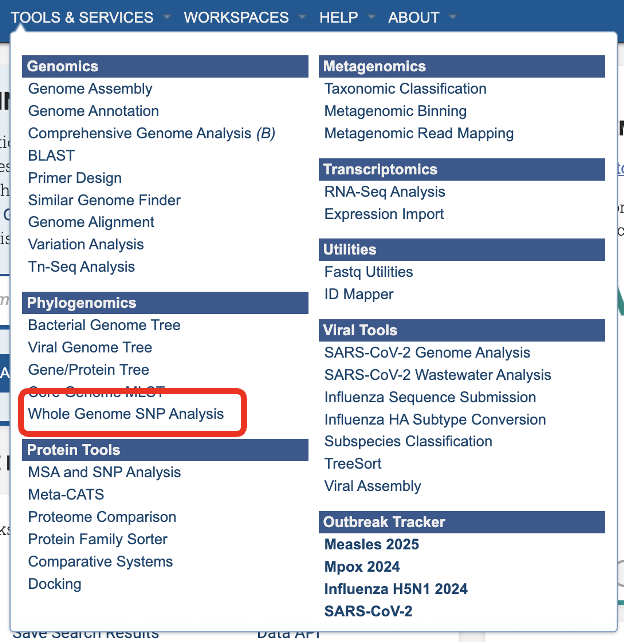 an image of the service page